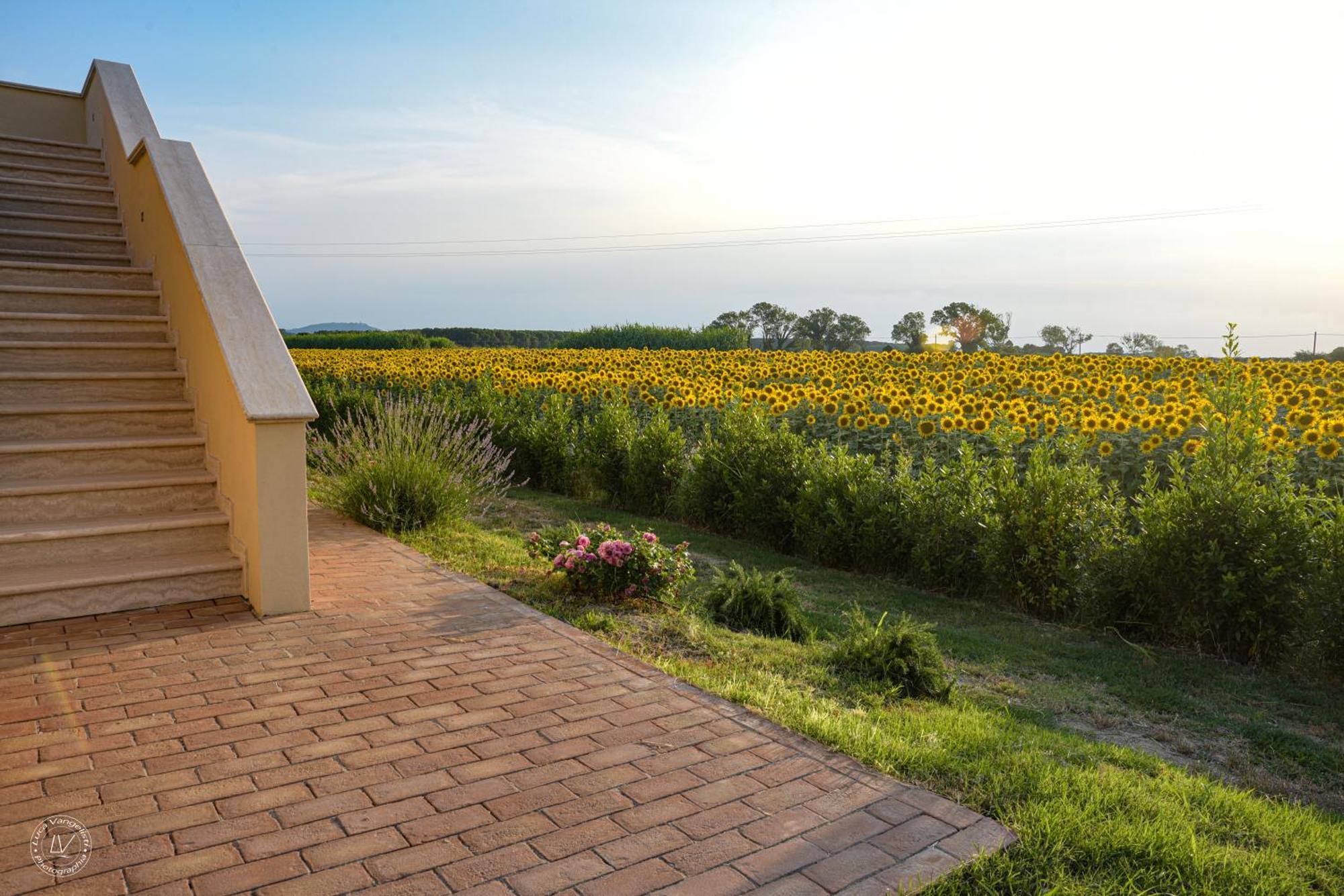 Agriturismo Villa Toscana Campiglia Marittima Exterior foto